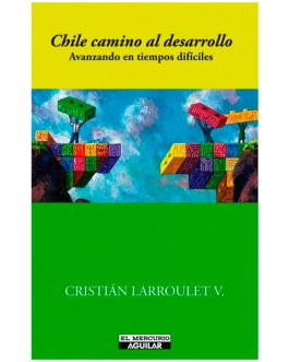 Chile Camino al Desarrollo